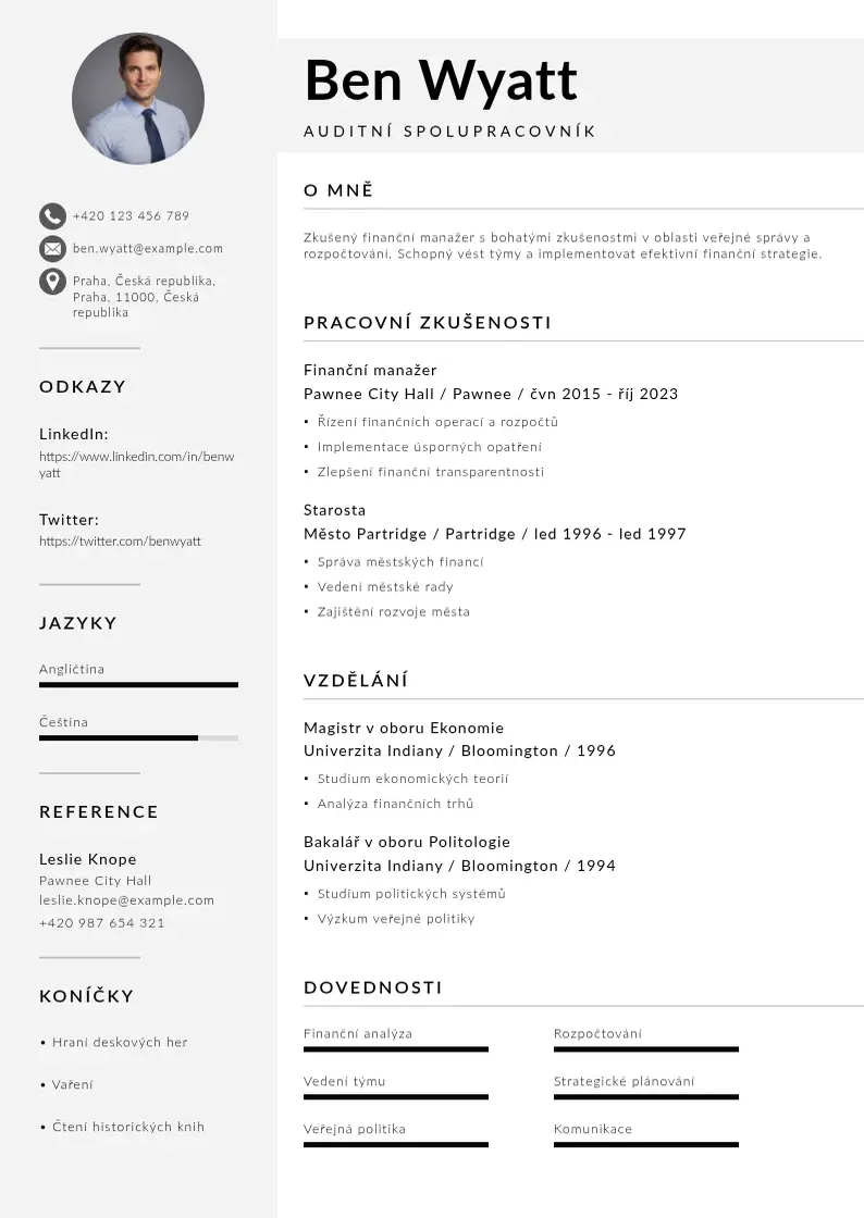 Mūsdienīga Auditní spolupracovník  CV veidne