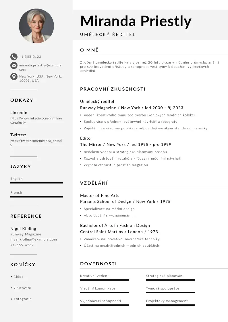 Mūsdienīga Umelecky reditel zivotopis CV veidne