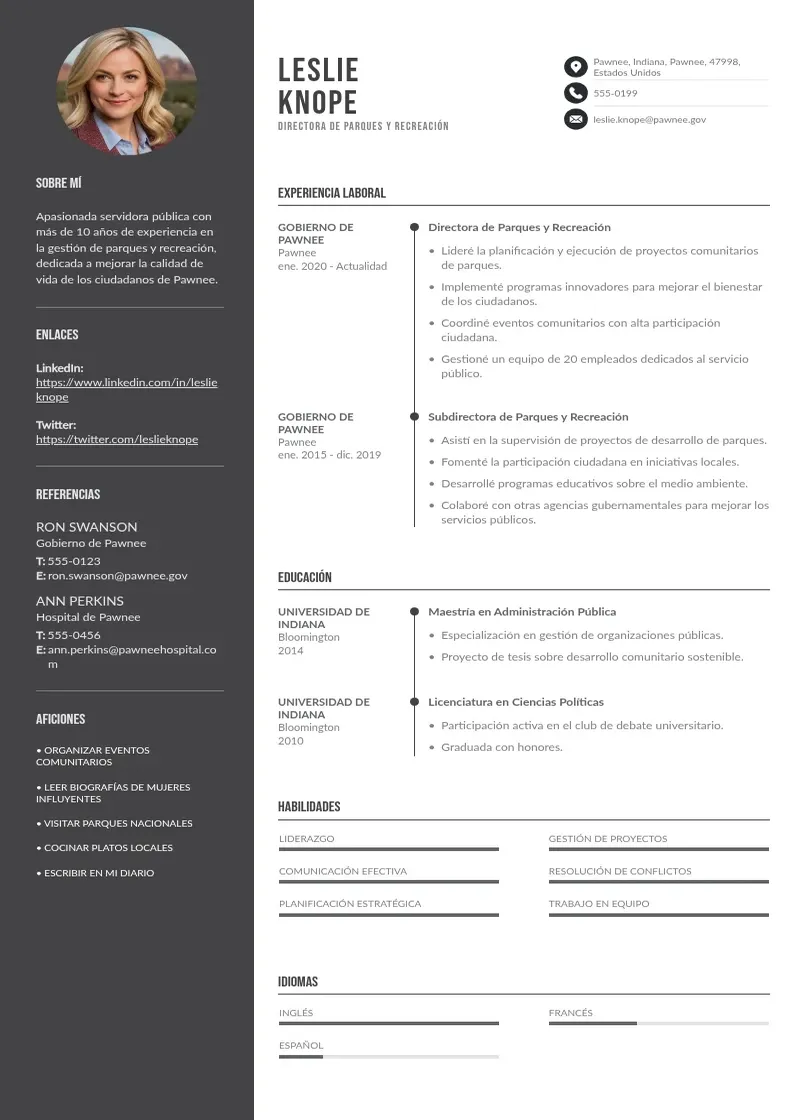 two column mi-curriculum-ideal resume example