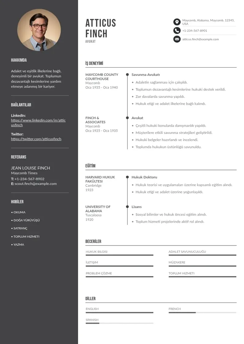 Divu kolonnu Gönüllü  CV piemērs