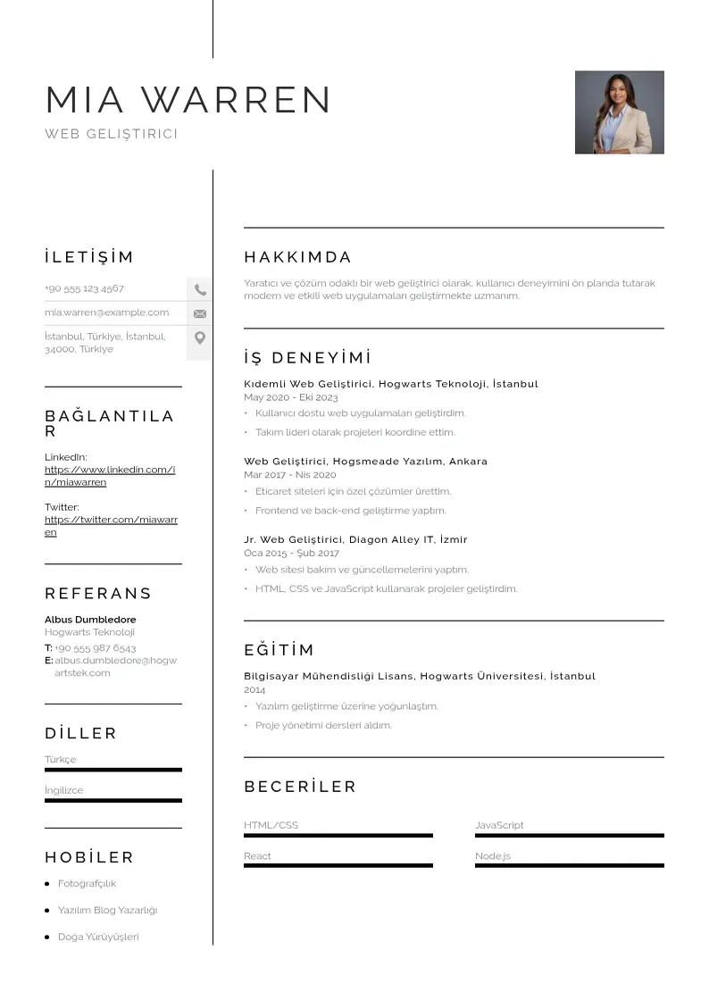 Vienkārša Web gelistirici CV piemērs