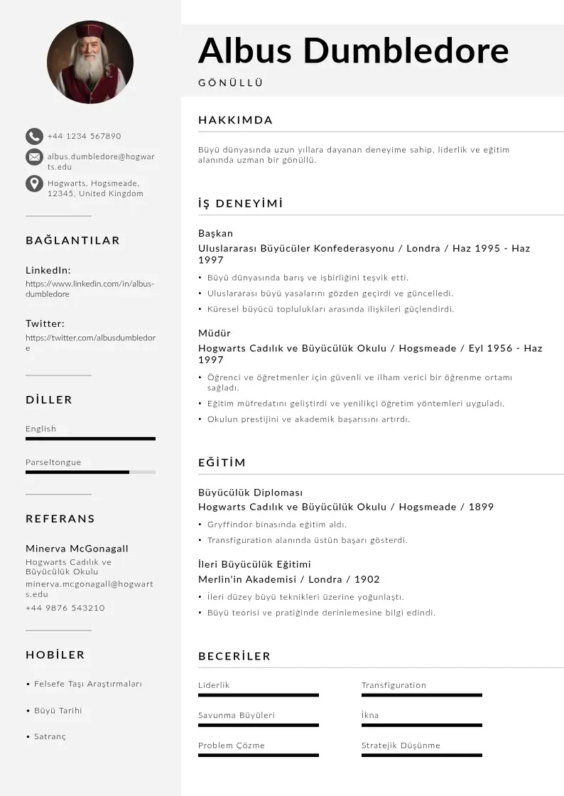 Mūsdienīga Gönüllü  CV veidne