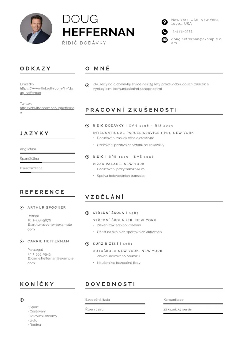 Profesionāla Ridic dodavky zivotopis CV veidne