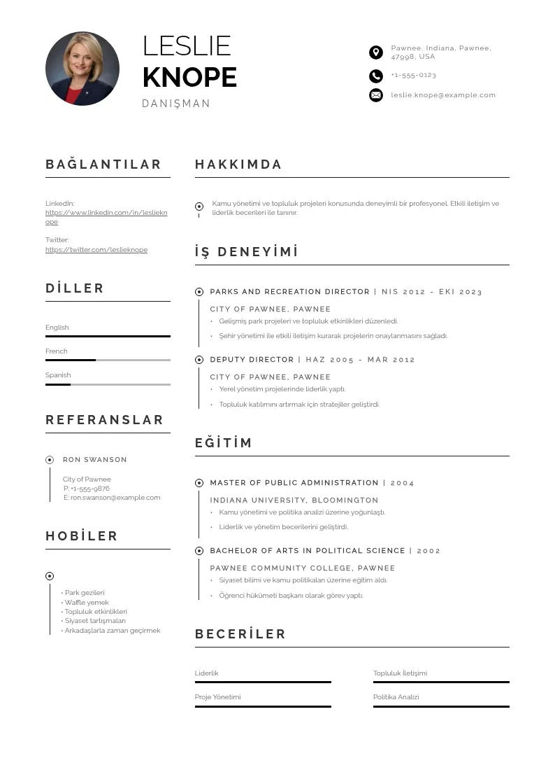 Profesionāla Danisman ozgecmis CV veidne