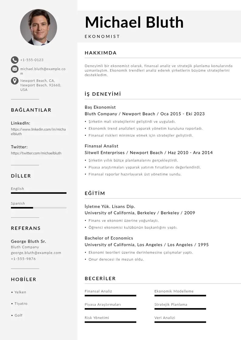 Mūsdienīga Ekonomist CV veidne