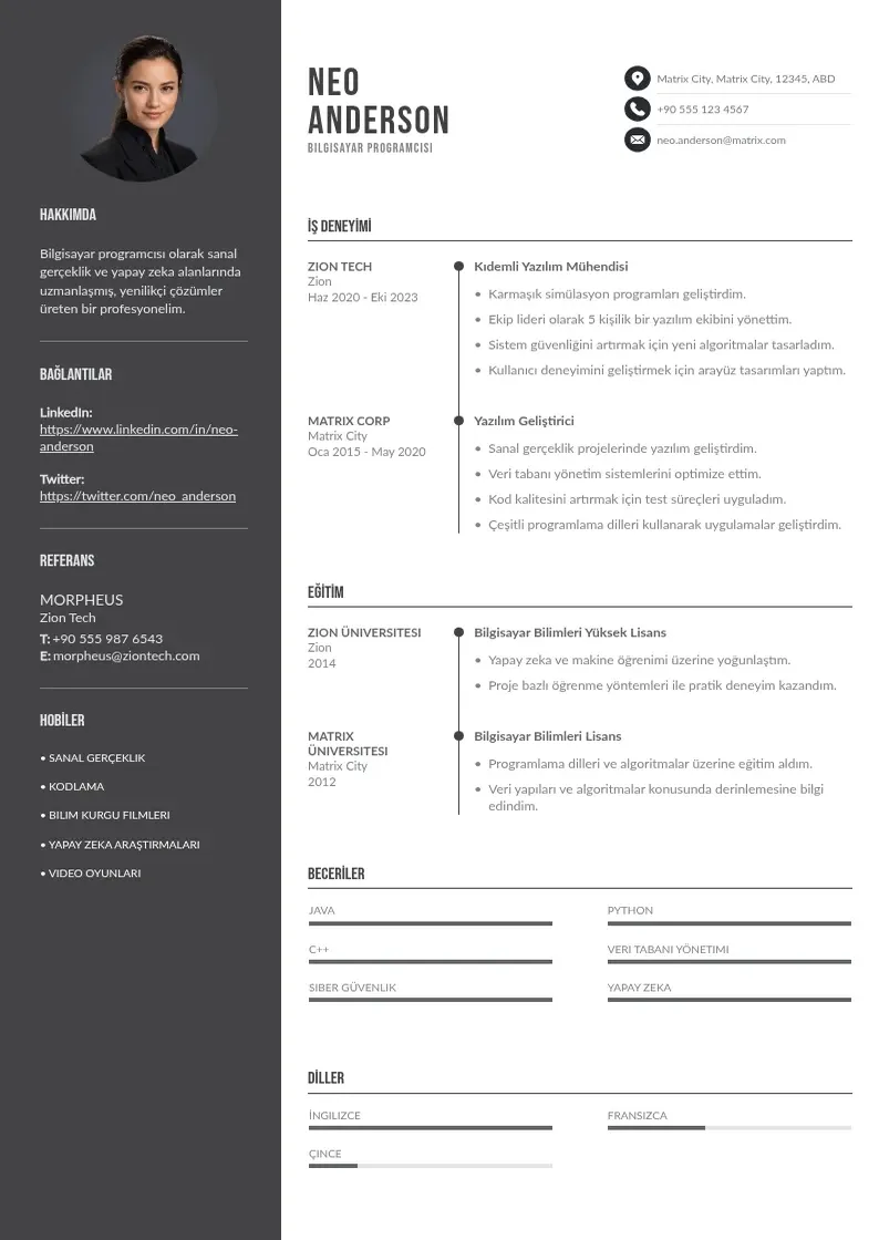 Divu kolonnu Bilgisayar programcısı  CV piemērs