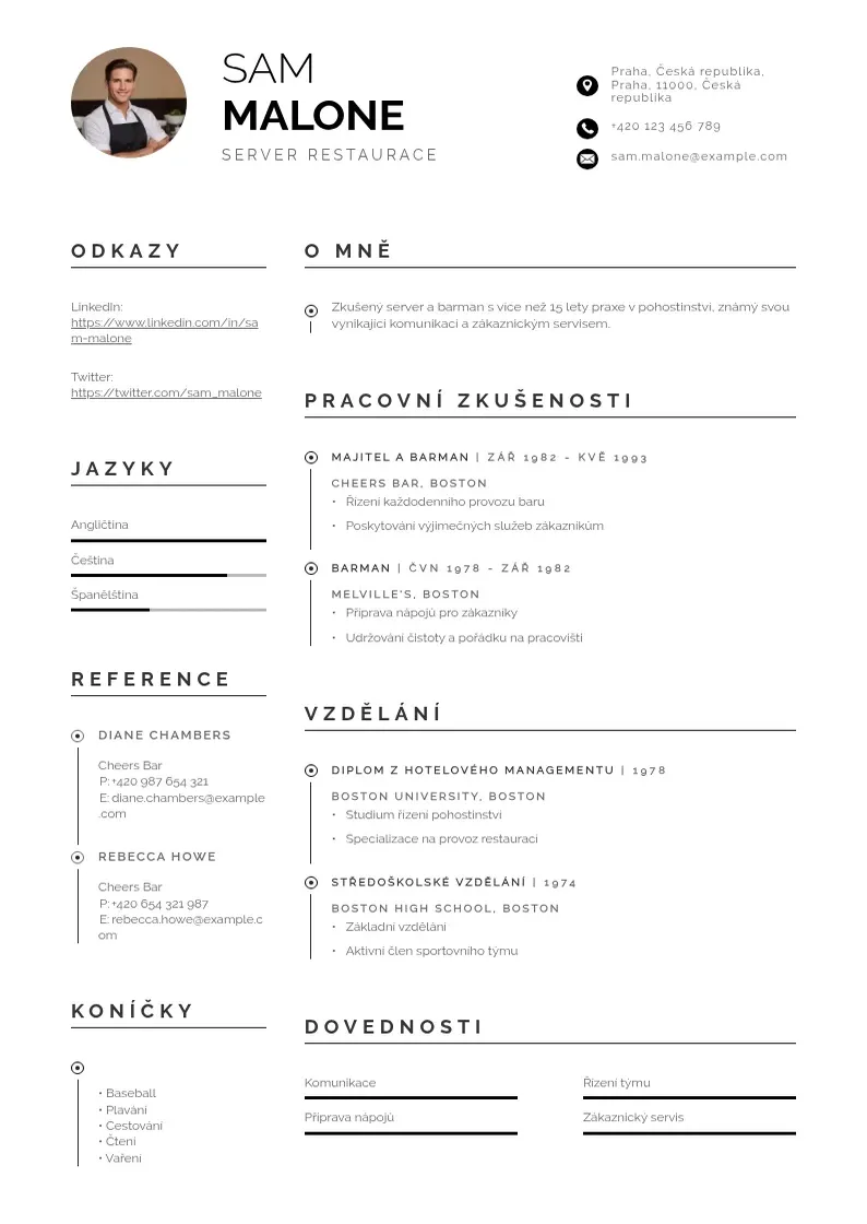 Profesionāla Server restaurace zivotopis CV veidne