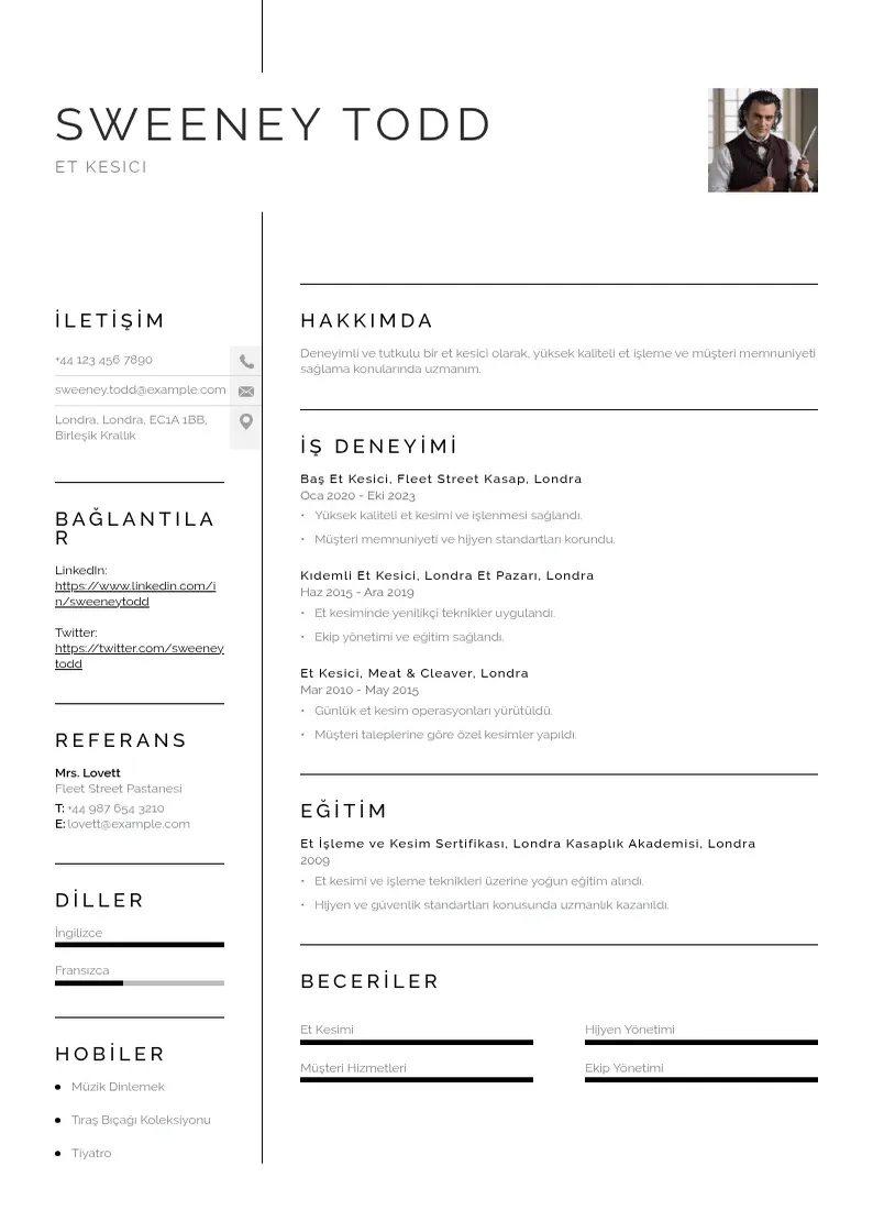 Vienkārša Et kesici  CV piemērs