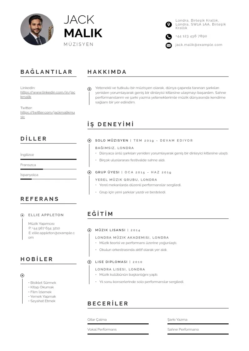 Profesionāla Muzisyen  ornekleri CV veidne