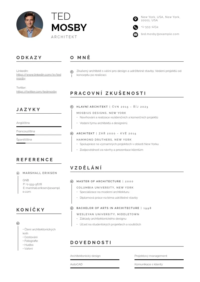 Profesionāla Cv ve francouzstine vzor CV veidne