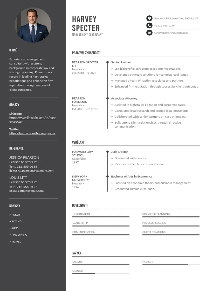 Divu kolonnu Konzultanta pro management zivotopis CV piemērs