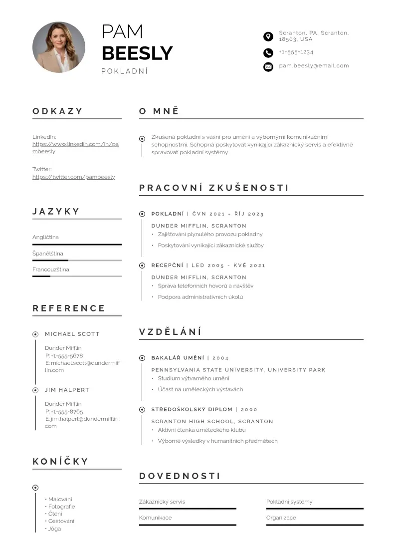 Profesionāla Zivotopis pokladni CV veidne