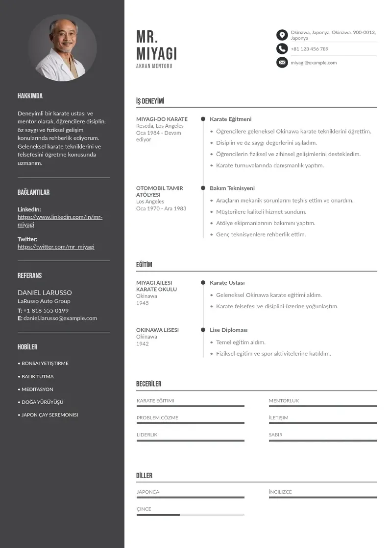Divu kolonnu Akran Mentoru  CV piemērs