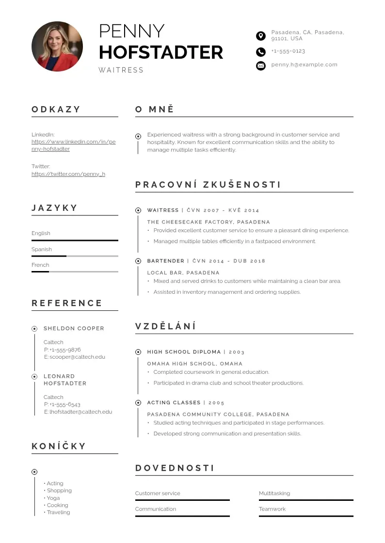 Profesionāla Servirka zivotopis CV veidne