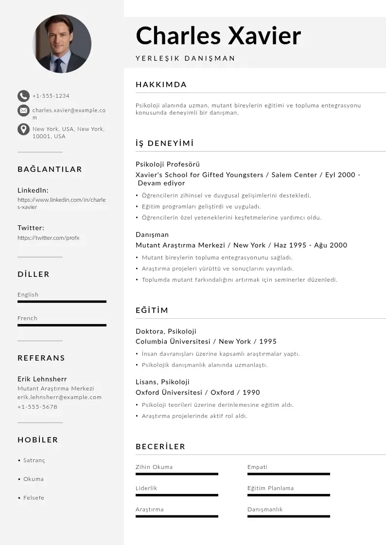 Mūsdienīga Yerleşik Danışman  CV veidne