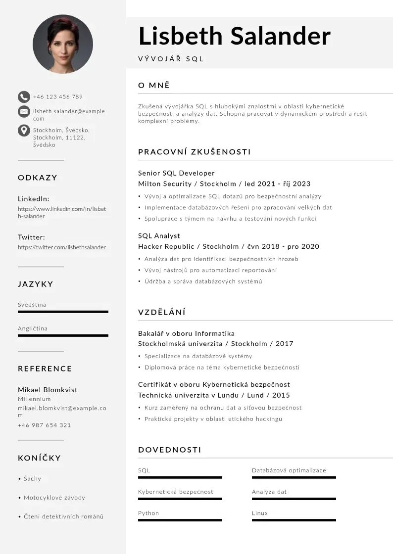 Mūsdienīga Vyvojar sql zivotopis CV veidne