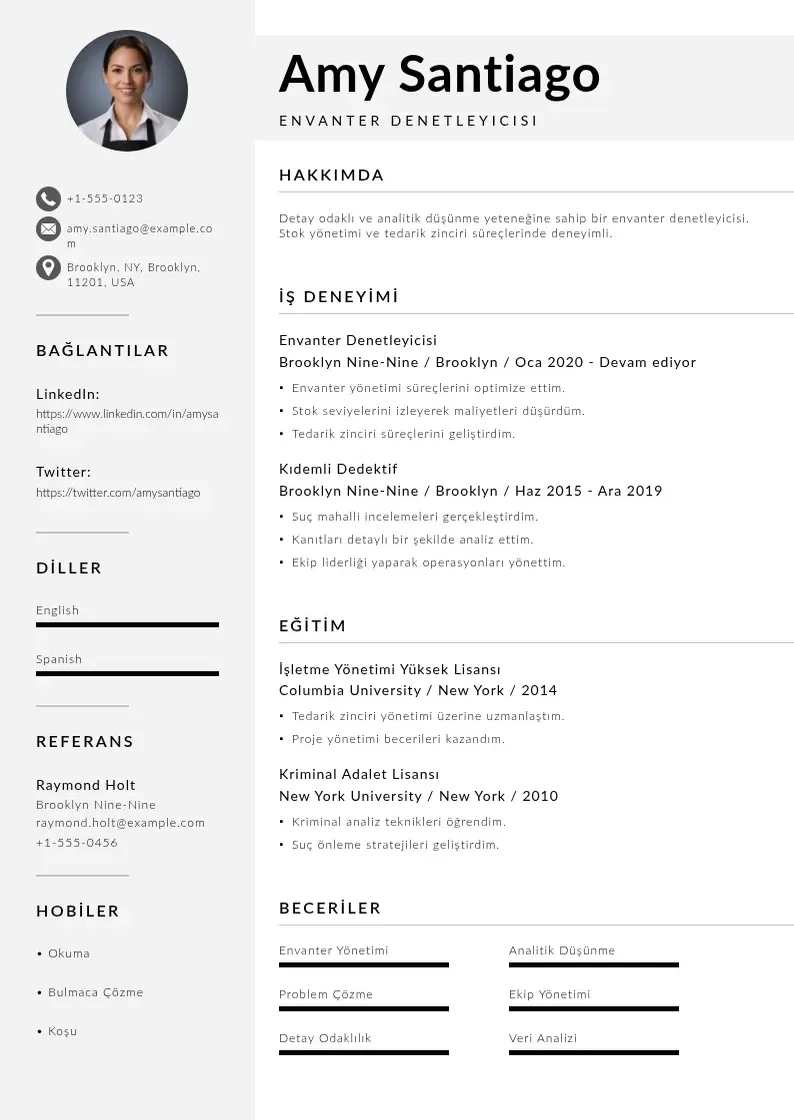 Mūsdienīga Envanter Denetleyicisi  CV veidne