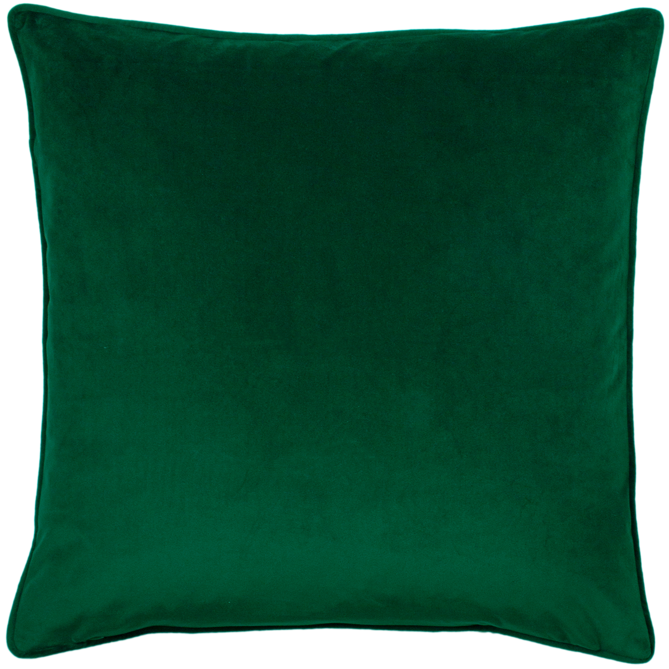 Paoletti Hortus Bee Cushions - Picture 10 of 28