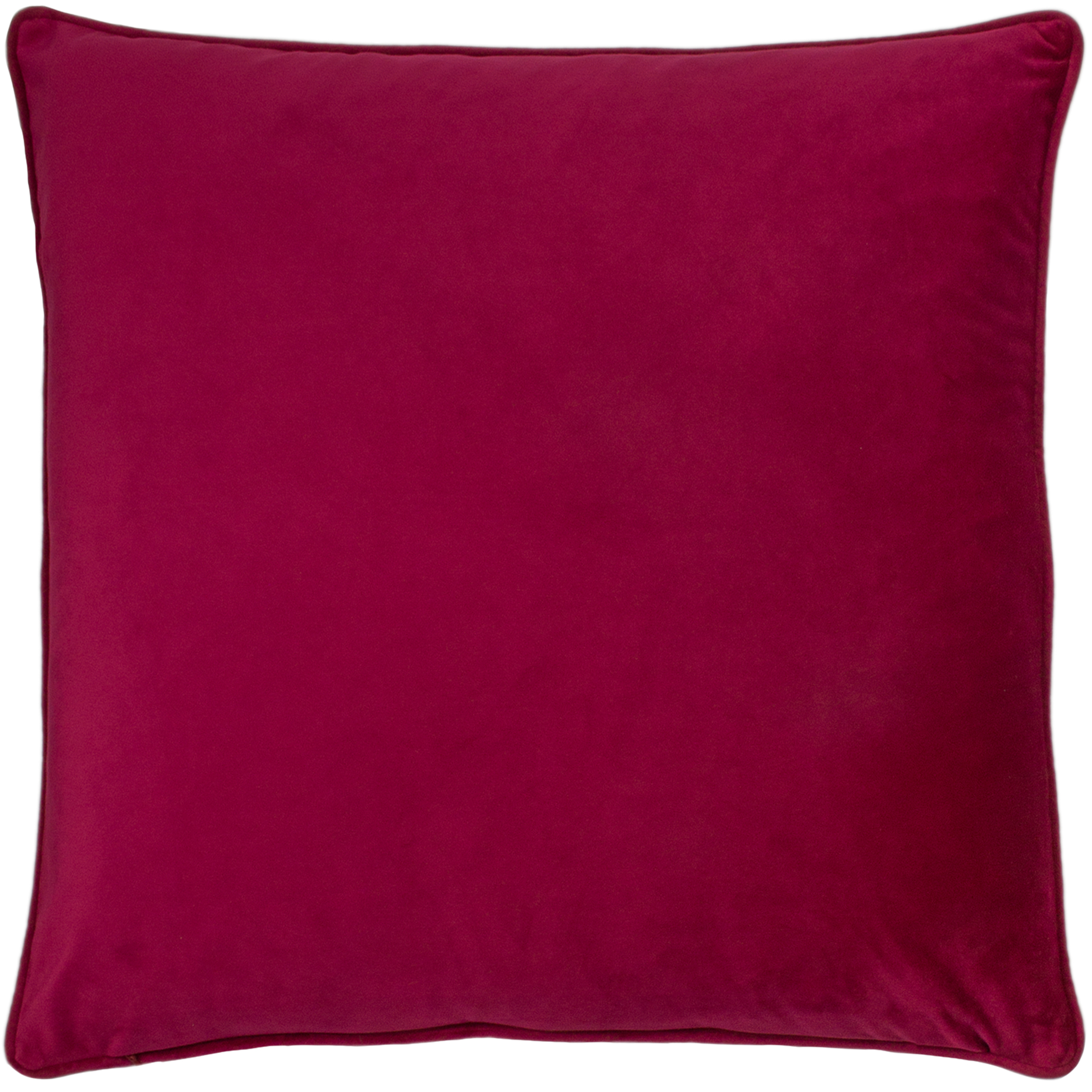Paoletti Hortus Bee Cushions - Picture 14 of 28