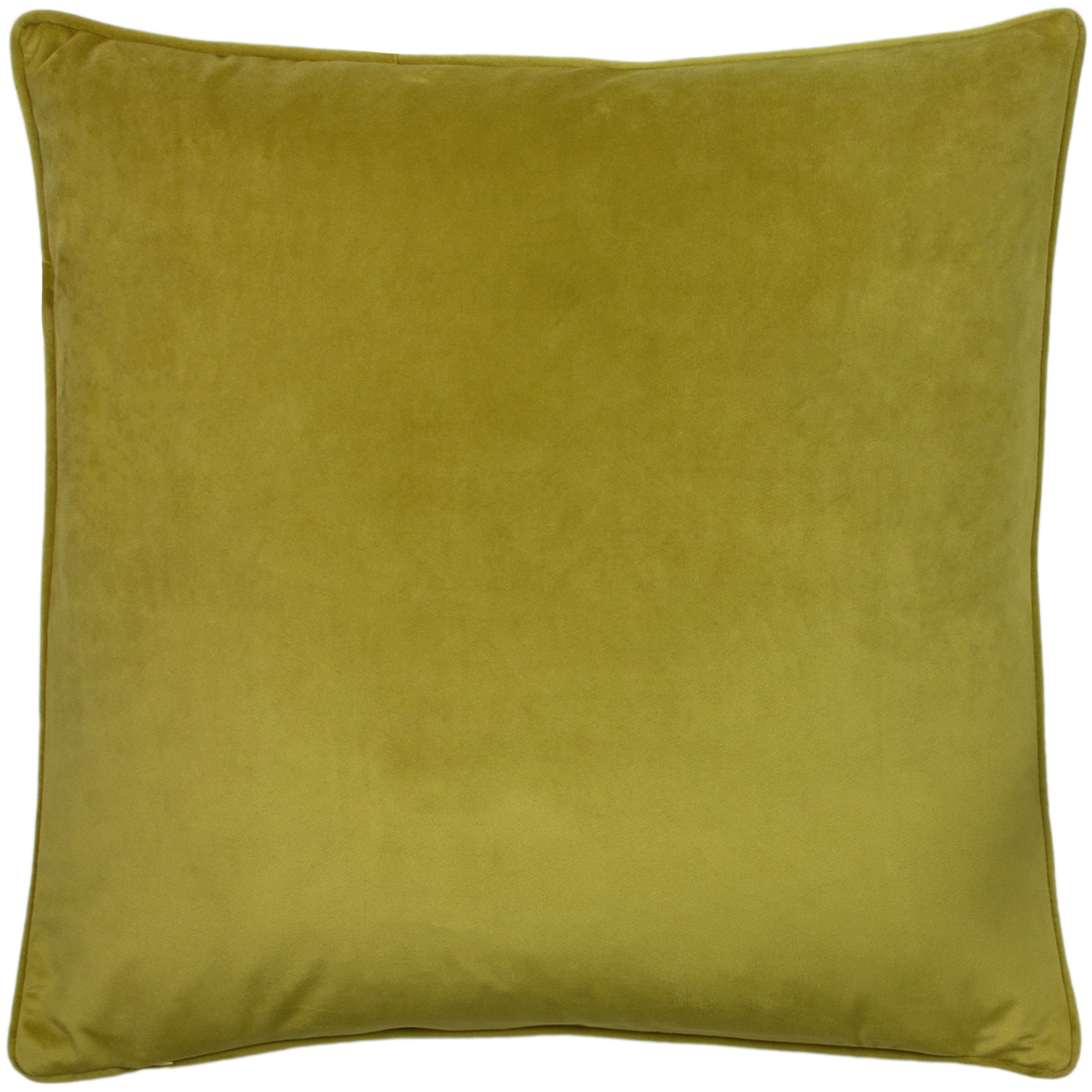 Paoletti Hortus Bee Cushions - Picture 22 of 28
