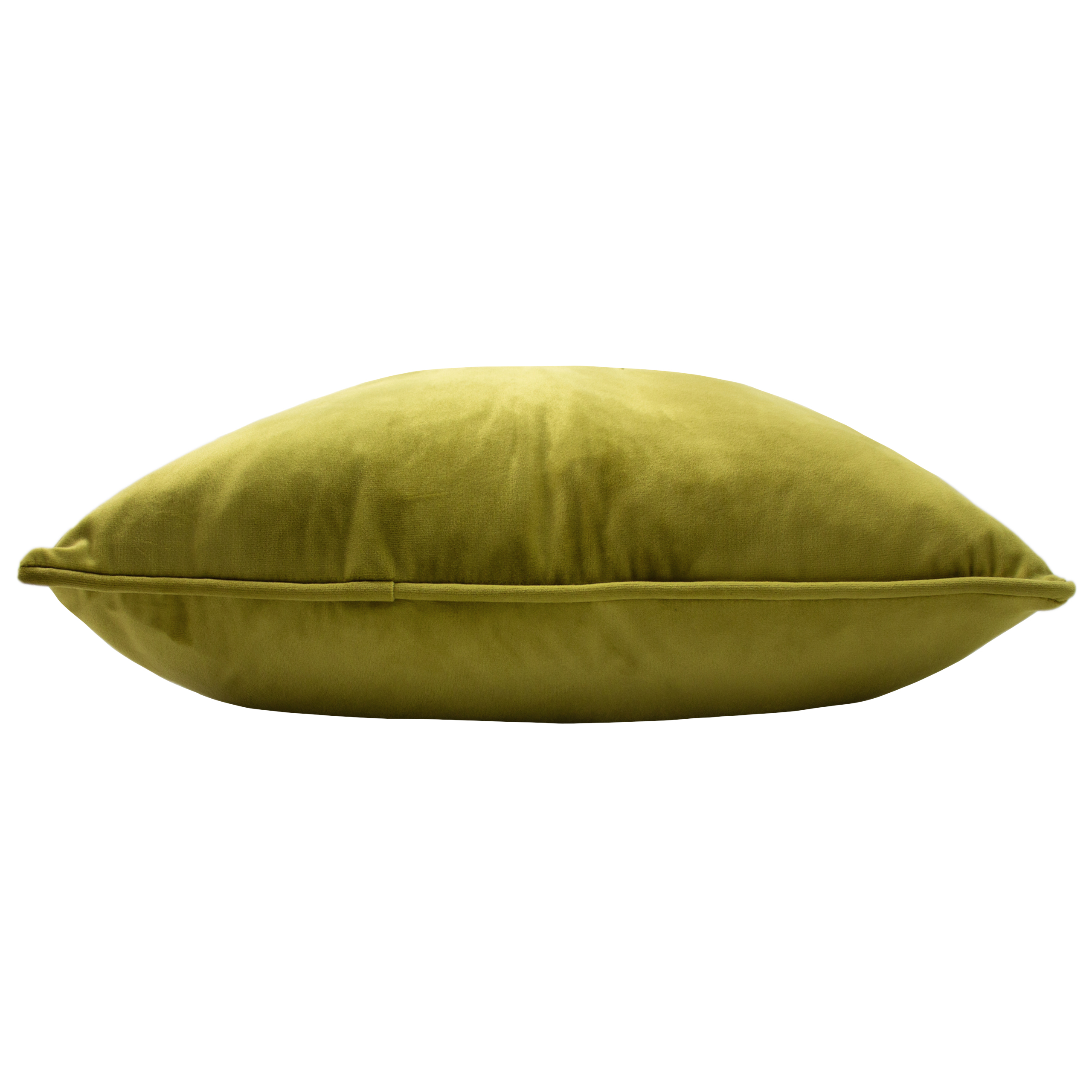 Paoletti Hortus Bee Cushions - Picture 23 of 28