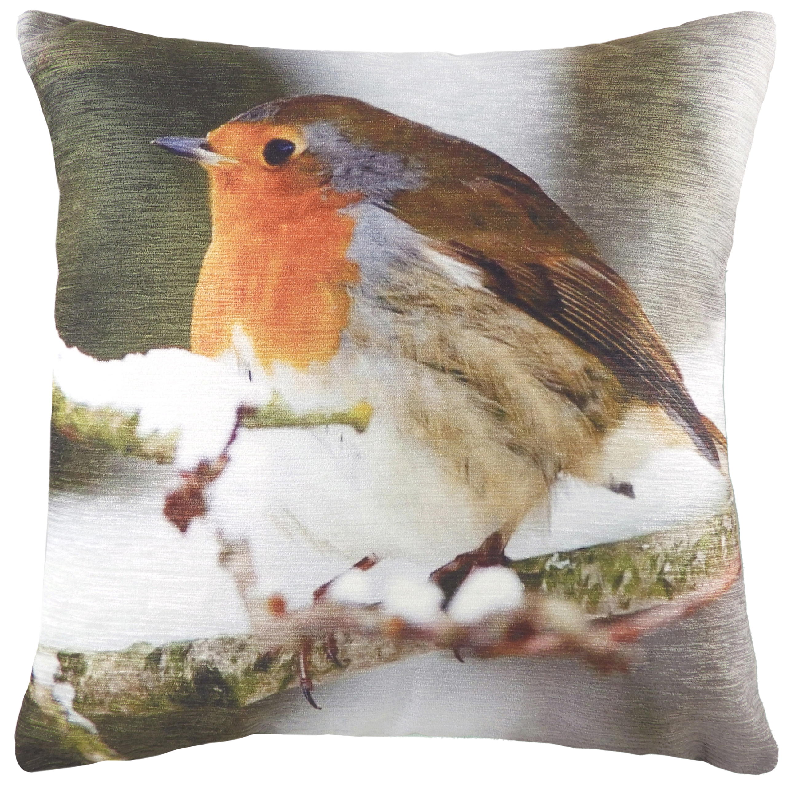 Evans Lichfield Photo Robin Cushions - Picture 1 of 9