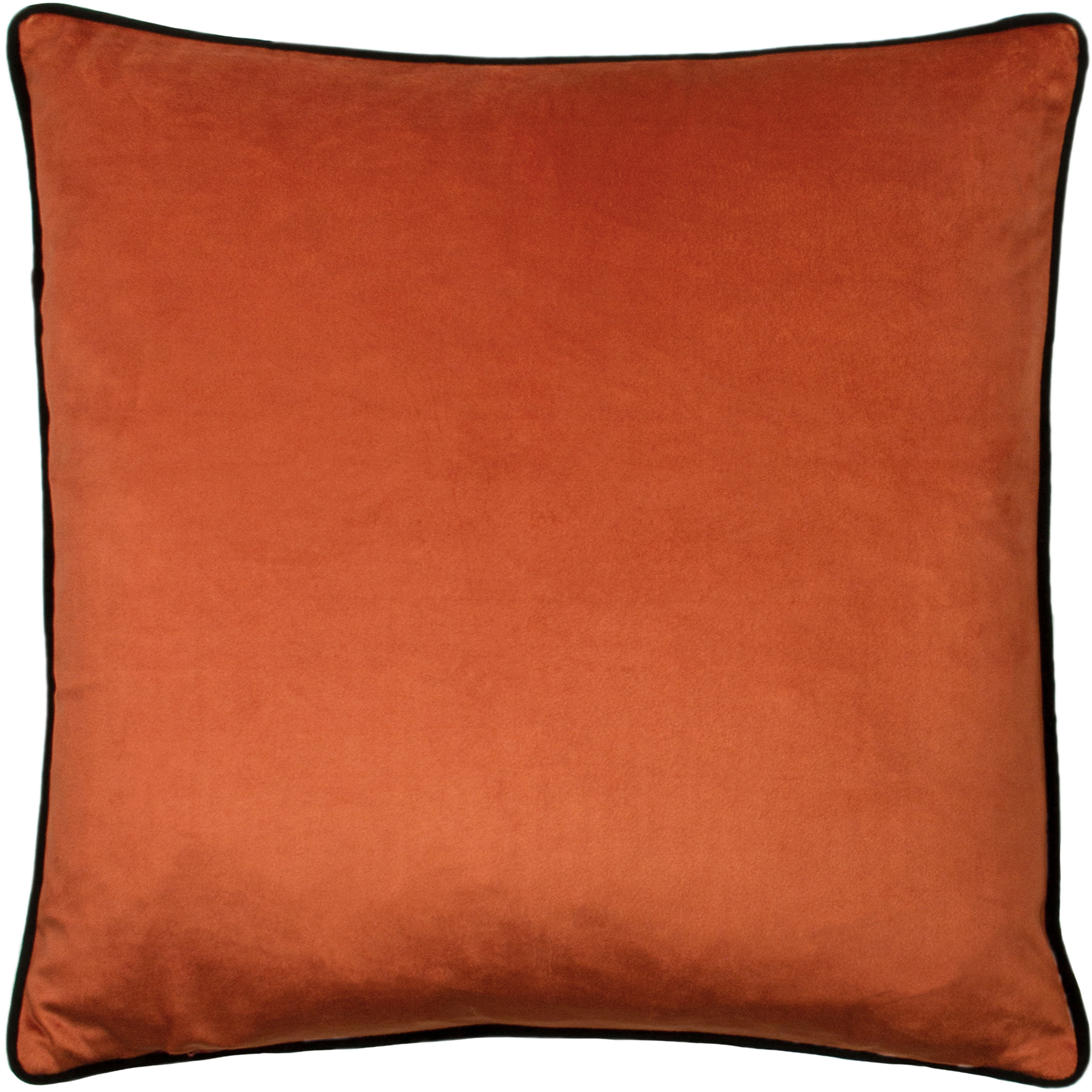 Paoletti Tropica Cheetah Cushions - Picture 10 of 12