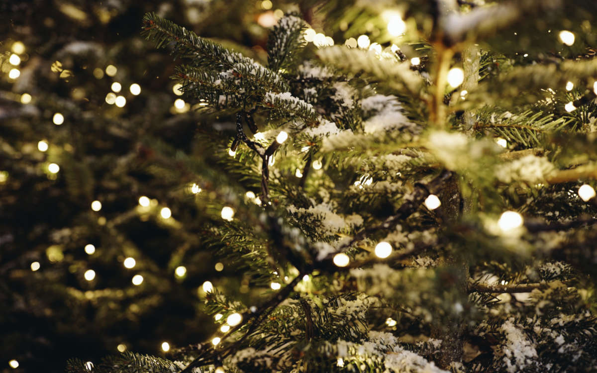 Baroak Christmas Buffet 2022 St James's Events | Christmas Concerts - St… | St James's London