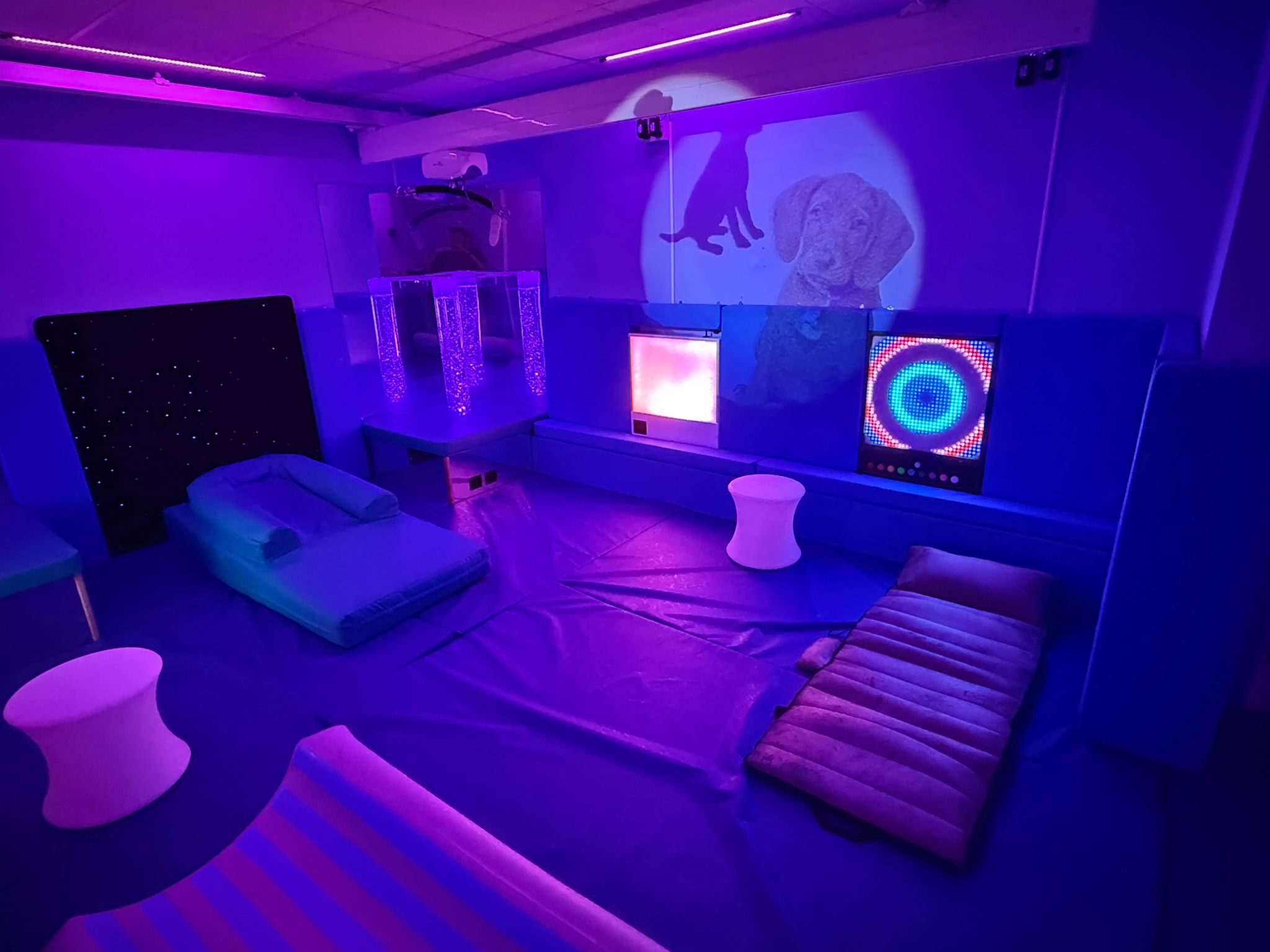 Multi-sensory room at Park Lane School