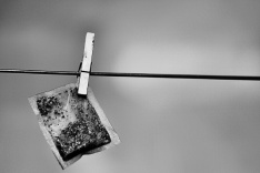 Tea bag hanging on a washing line