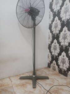 Standing fan
