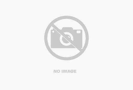 HP Printer Cartridges 05a/80a