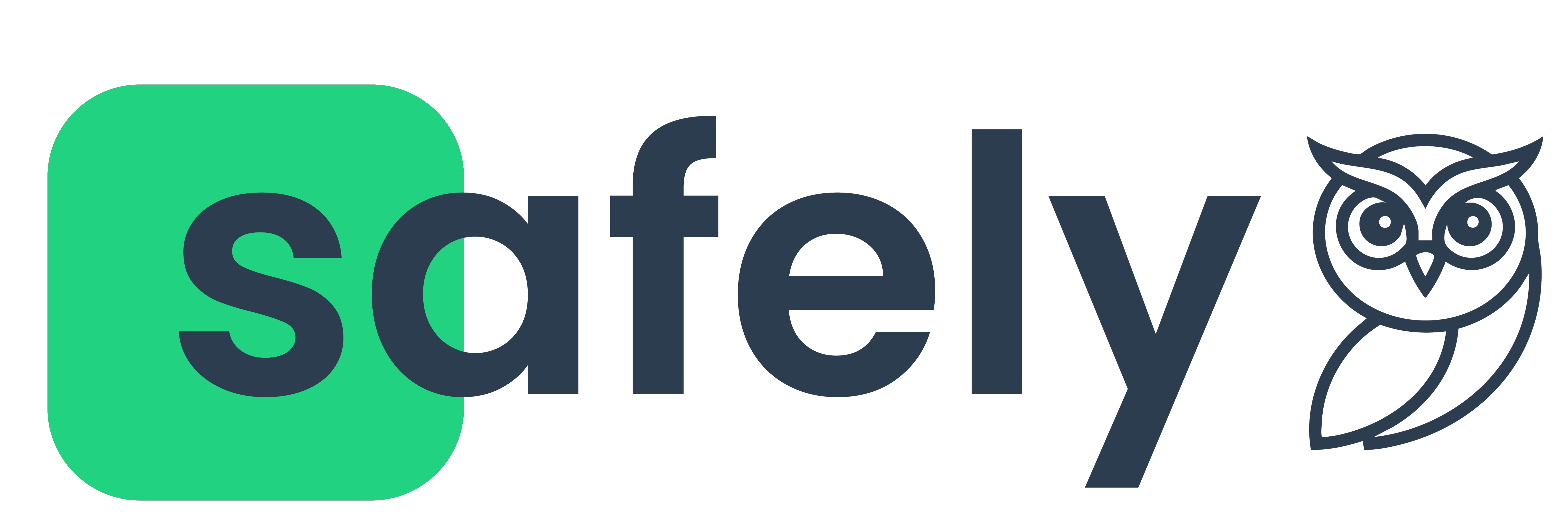 Safely Systems Limited logo