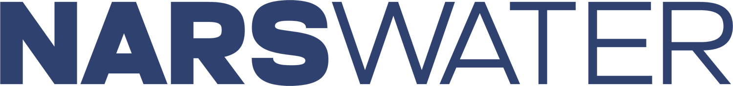 North Atlantic Research and Survey logo