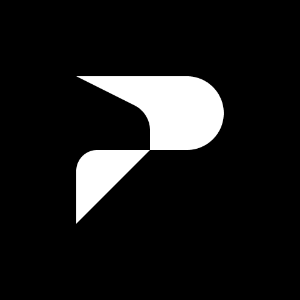 BidwiseAI logo