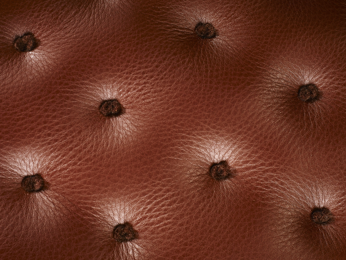 Leather Library Panel Close up