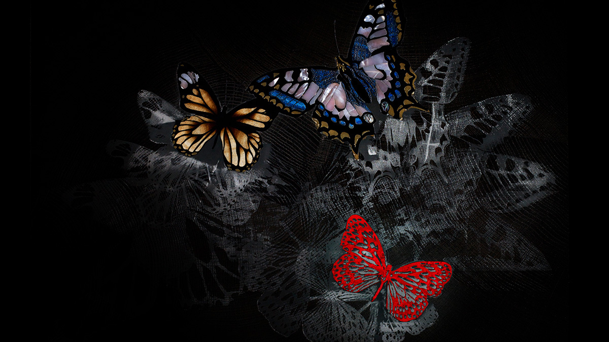 Butterfly Kaleidoscope Main Dark Hero