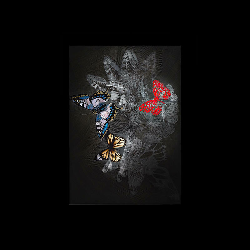 Butterfly Kaleidoscope Main Shot