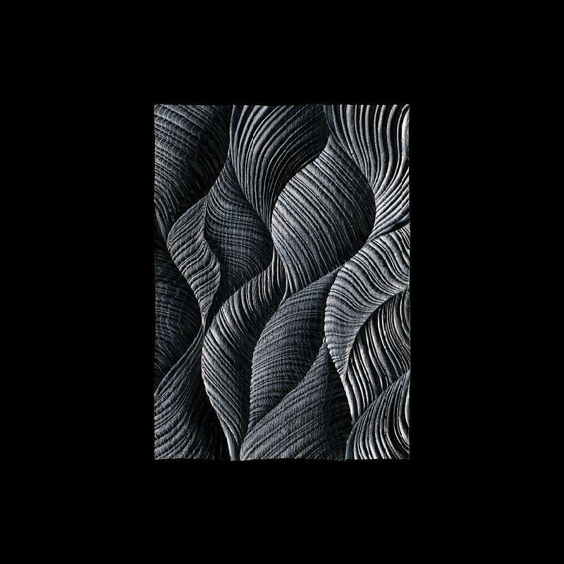 Wild Ocean Main Shot