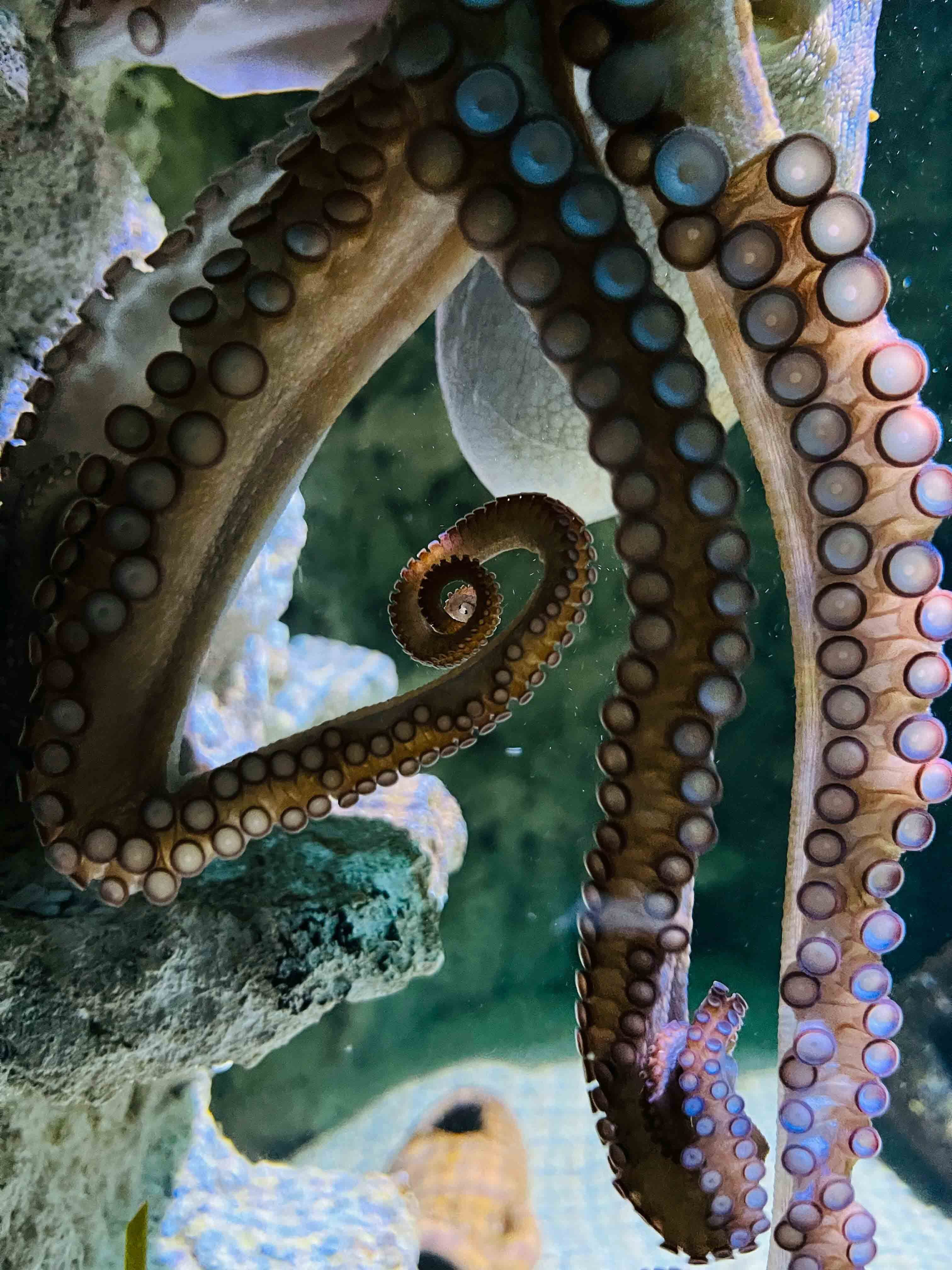 Pexels elenav 2011499497 31329010 copy