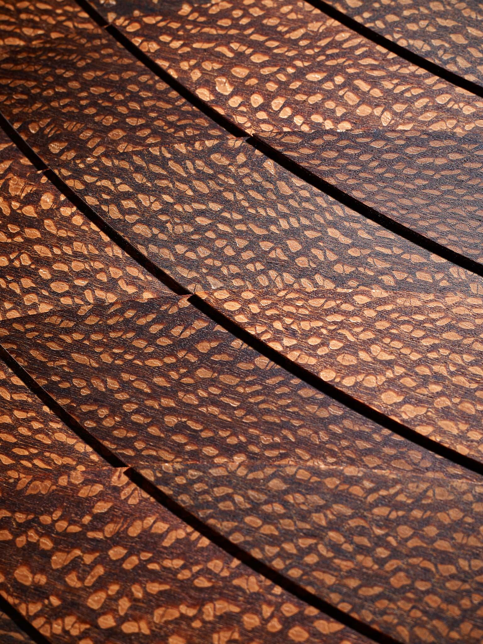 Pangolin Armour Detail 1 Low Res