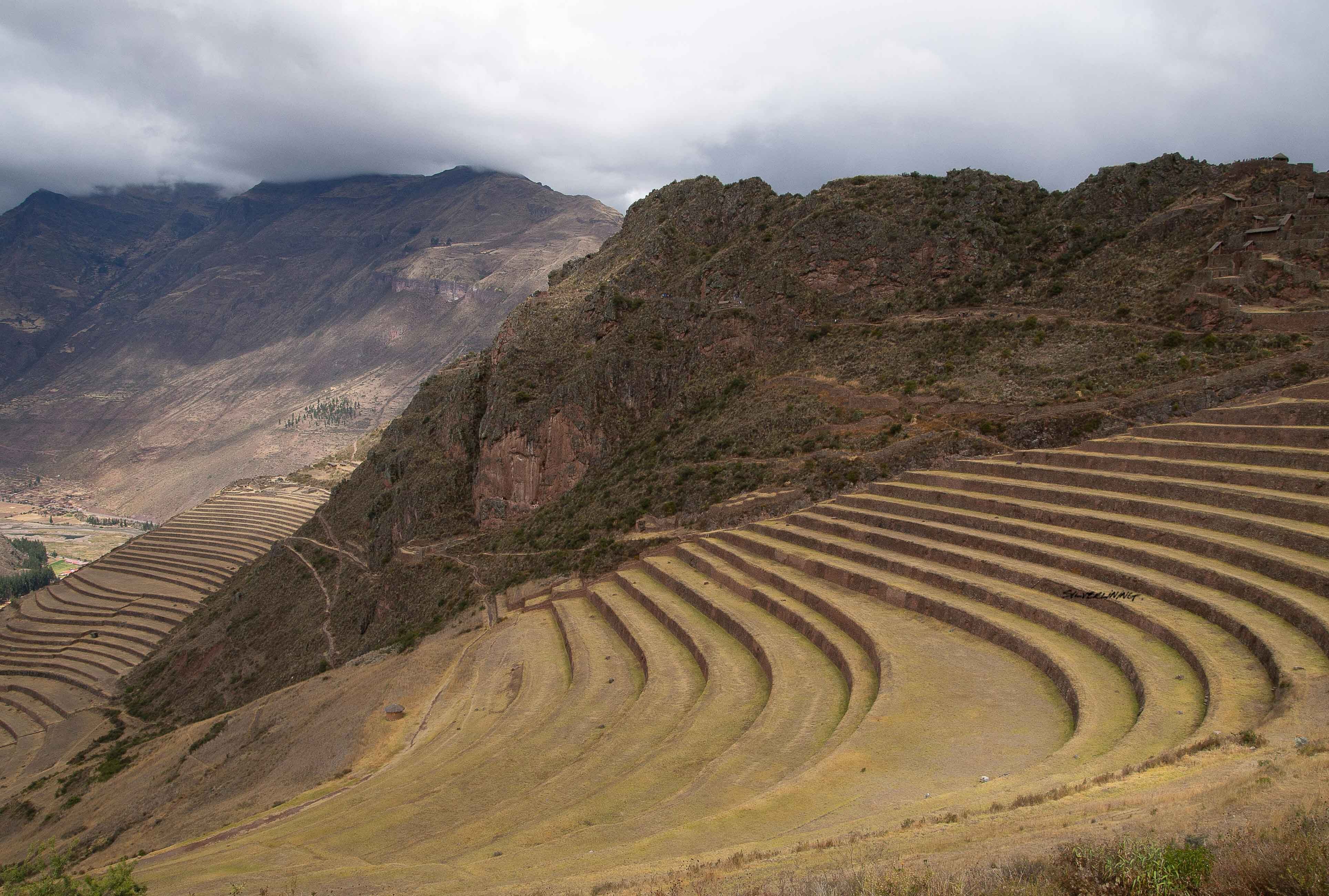 Pexels mike van schoonderwalt 1884800 5503232 low