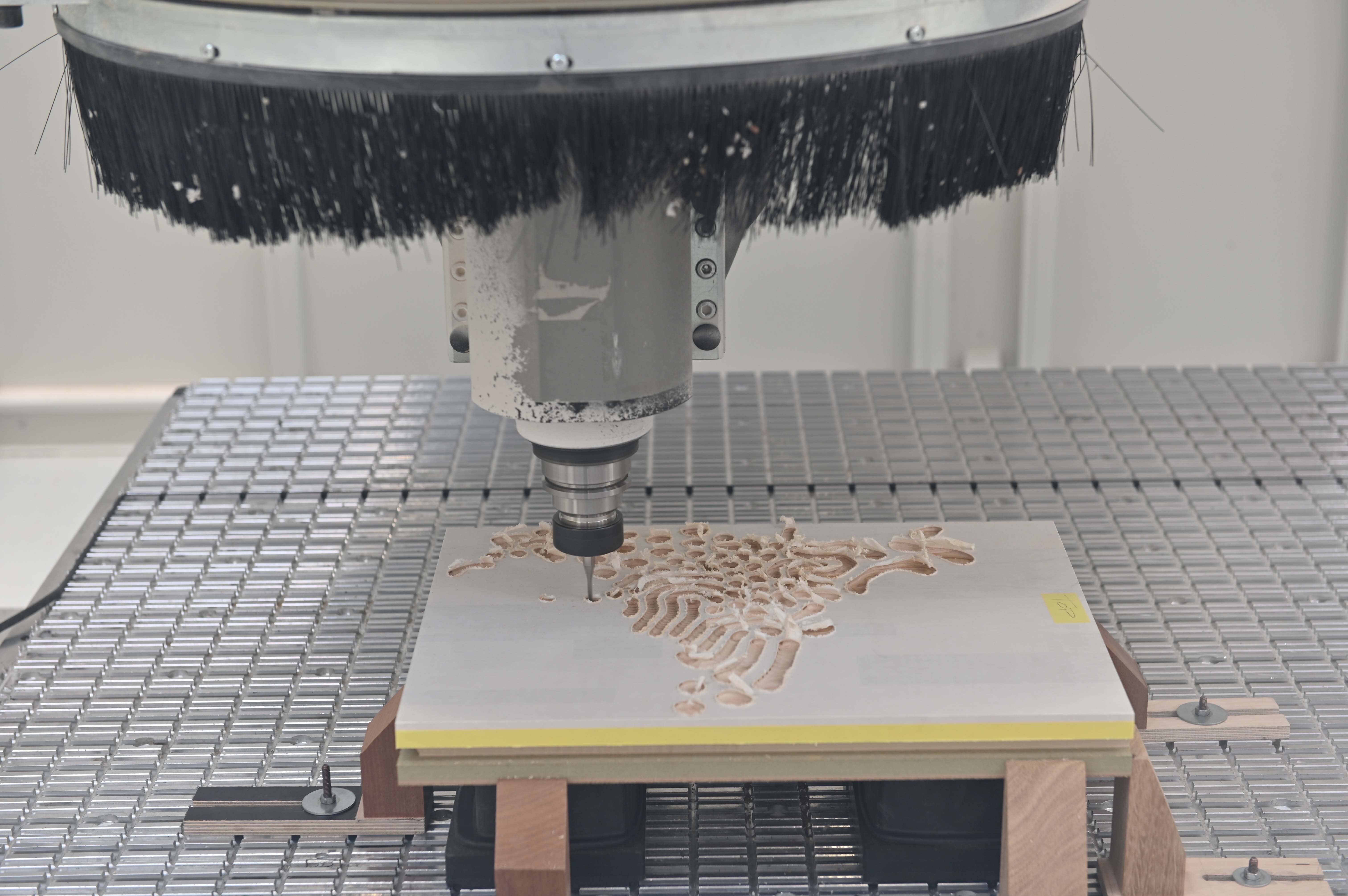 G1575 08 Cell Diffusion Making