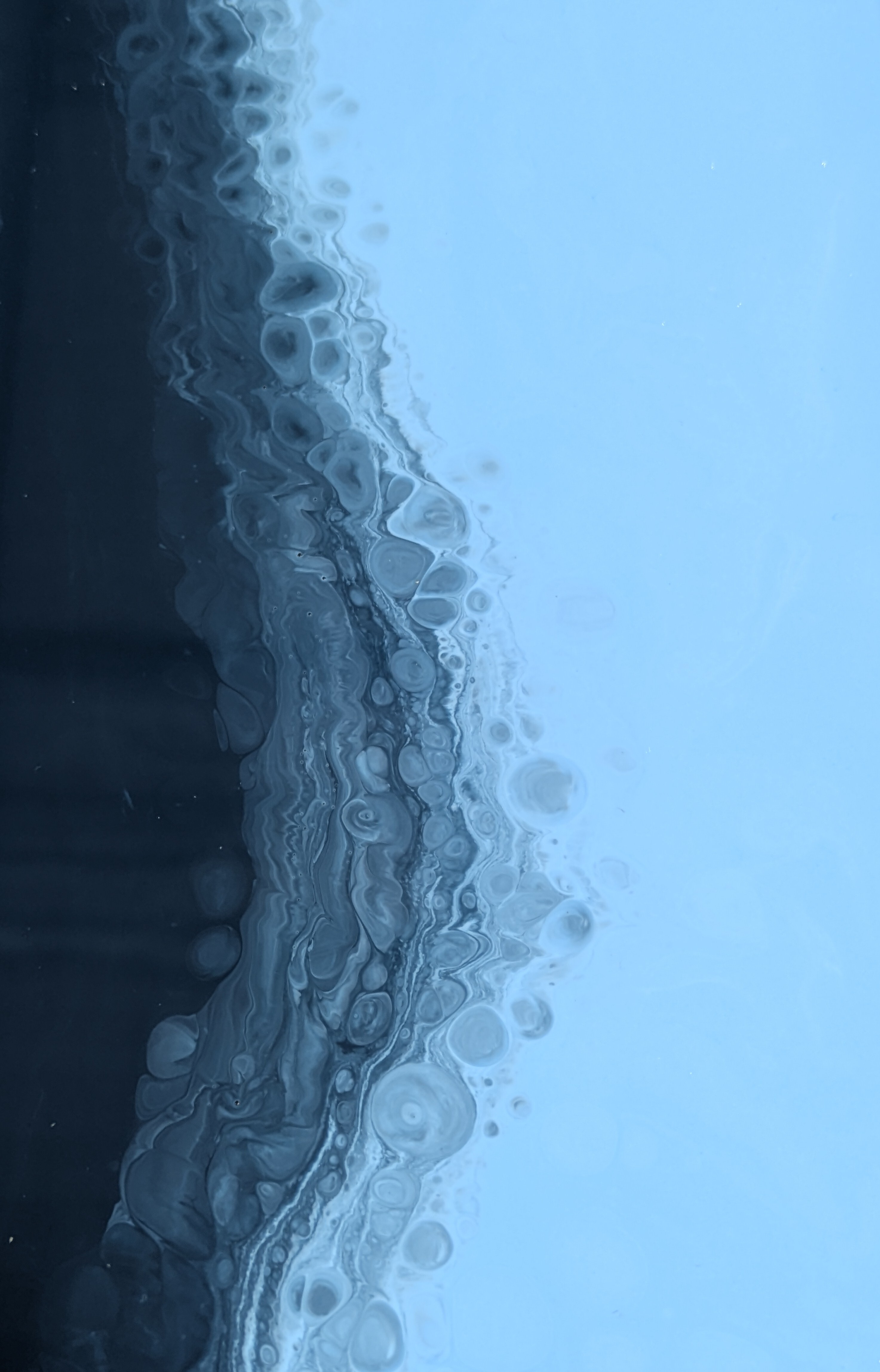 SL 1000018433