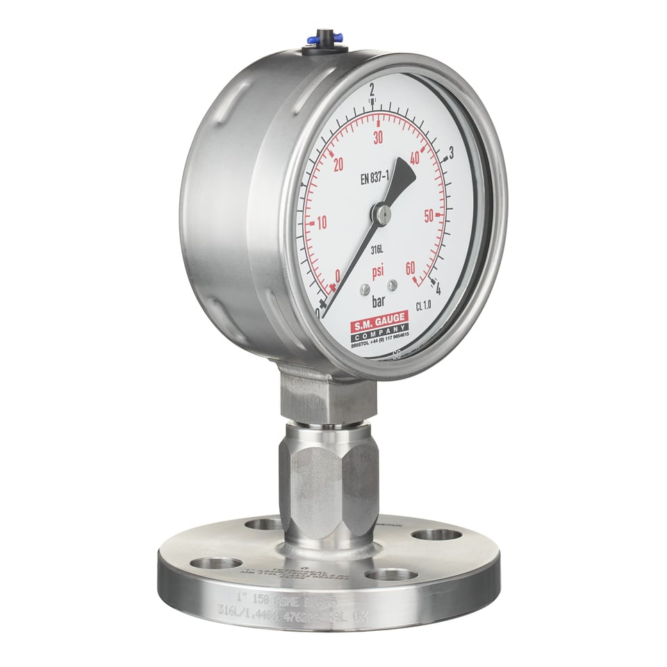 Flanged Diaphragm Seal