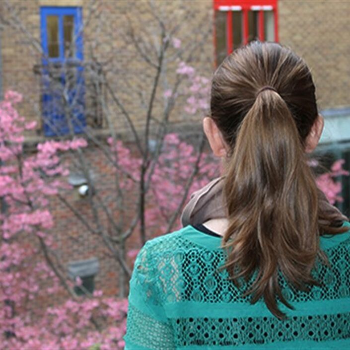 Woman facing away from the camera looking out of a window to a tree with pink leaves