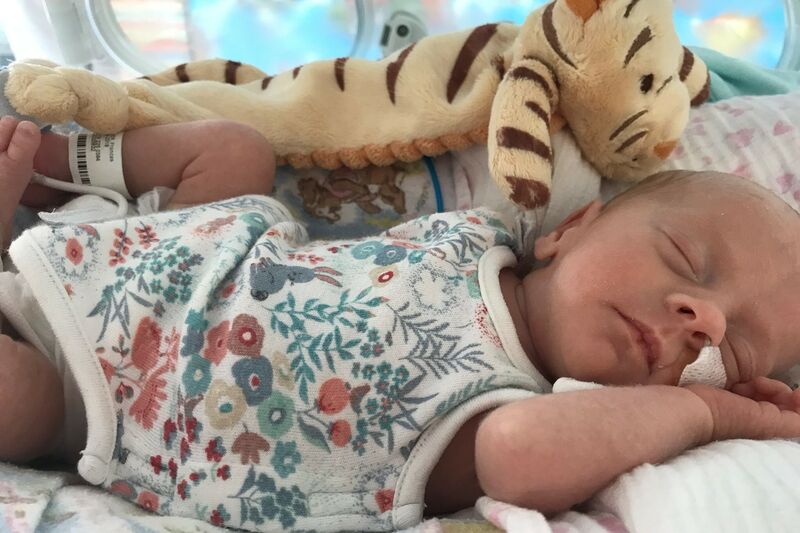 Baby wearing flowery baby vest in incubator asleep with a tiger soft toy