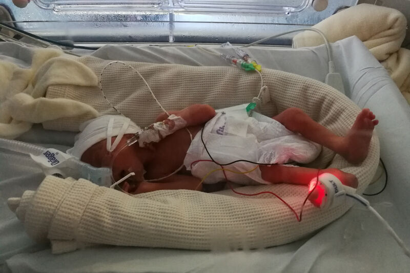 IMG 20180928 123652 resized 20191022 102259725