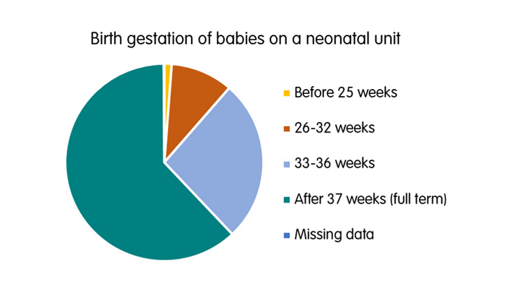 Neonatal admissions by gestational age pie chart
