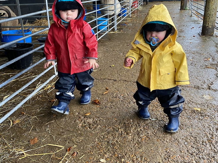 Screenshot 2021 02 19 at 12 26 19